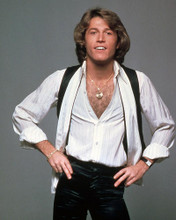 Picture of Andy Gibb