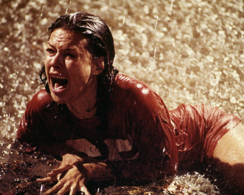 Picture of JoBeth Williams in Poltergeist
