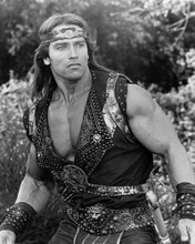 Picture of Arnold Schwarzenegger in Red Sonja