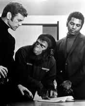 Picture of Don Murray in Conquest of the Planet of the Apes