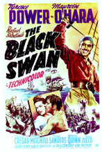 THE BLACK SWAN POSTER PRINT 296495