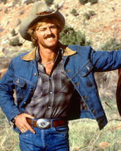 Picture of Robert Redford in The Electric Horseman