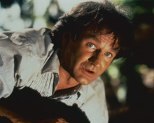 Picture of Robin Williams in Hook