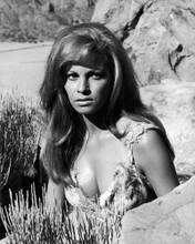 Picture of Raquel Welch in One Million Years B.C.