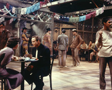 Picture of Marlon Brando in Guys and Dolls