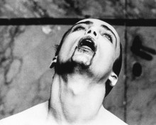 Picture of Udo Kier in Blood for Dracula