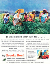 Poster Print of Brooke Bond