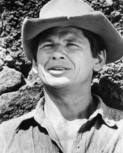 Picture of Charles Bronson in The Magnificent Seven