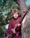Picture of Fess Parker in Davy Crockett: King of the Wild Frontier