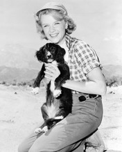 Picture of Anne Francis