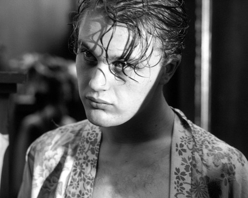 Picture of Michael Pitt in The Dreamers