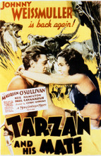 Poster Print of Tarzan and His Mate