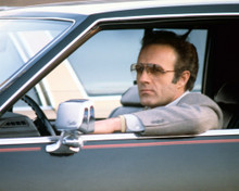 Picture of James Caan in Thief