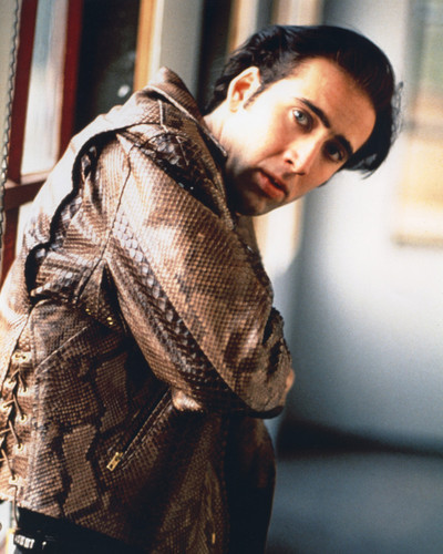 Picture of Nicolas Cage in Wild at Heart