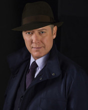Picture of James Spader in The Blacklist