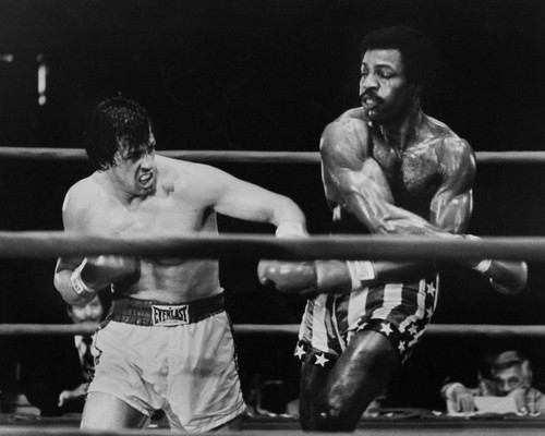 Picture of Sylvester Stallone in Rocky