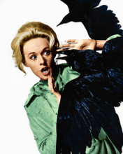 Picture of Tippi Hedren in The Birds