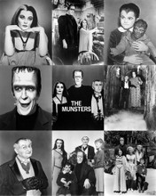Picture of The Munsters