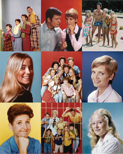Picture of The Brady Bunch