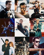 Picture of The Terminator