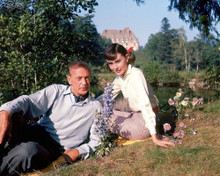 Picture of Audrey Hepburn in Love in the Afternoon