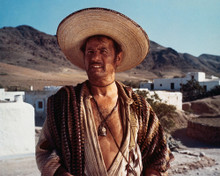 Picture of Eli Wallach in The Magnificent Seven