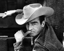 Picture of Montgomery Clift in The Misfits