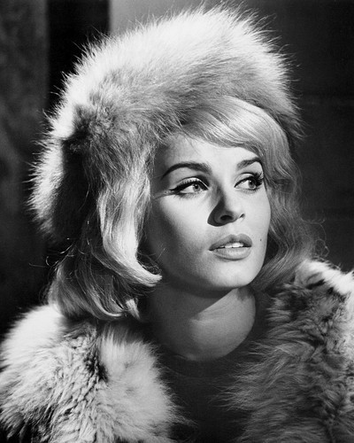 Picture of Senta Berger in The Victors