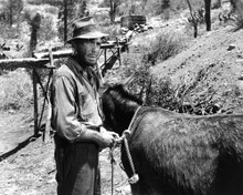 Picture of Humphrey Bogart in The Treasure of the Sierra Madre