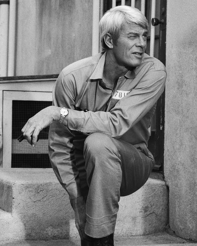 Picture of Peter Graves in Mission: Impossible
