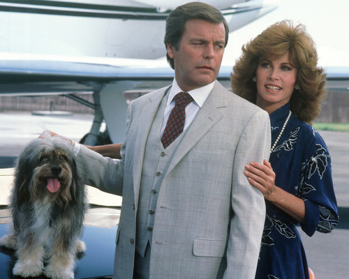 Picture of Stefanie Powers in Hart to Hart