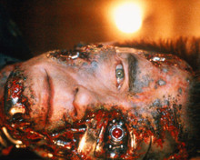 Picture of Arnold Schwarzenegger in The Terminator