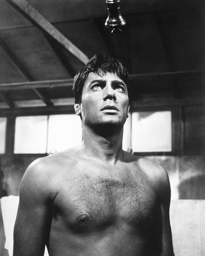 Picture of Tony Curtis in The Outsider