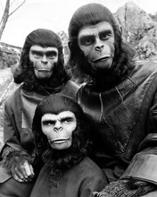 Picture of Roddy McDowall in Battle for the Planet of the Apes