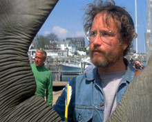 Picture of Richard Dreyfuss in Jaws