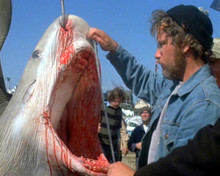 Picture of Richard Dreyfuss in Jaws