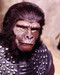 Picture of Mark Lenard in Planet of the Apes