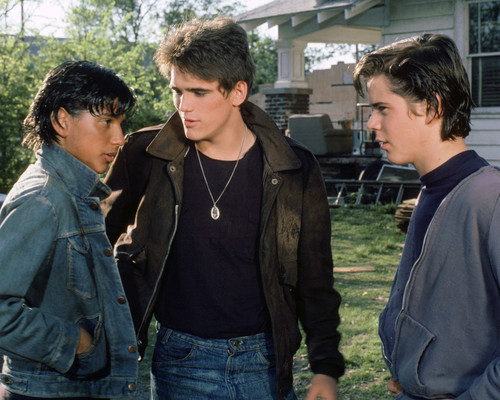Picture of Ralph Macchio in The Outsiders