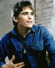 Picture of Matt Dillon in The Outsiders