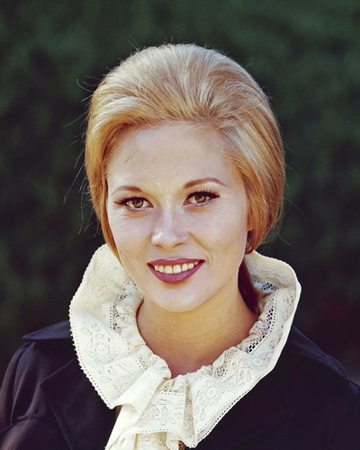 Picture of Faye Dunaway