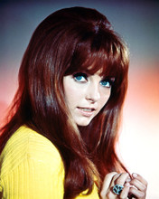 Picture of Dolly Read in Beyond the Valley of the Dolls