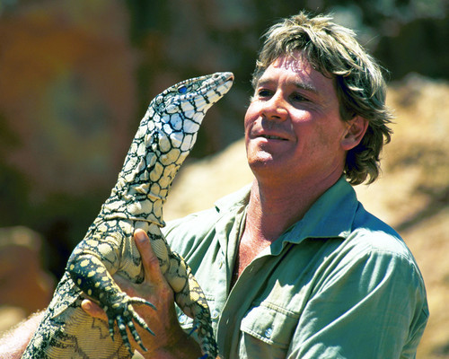 Picture of Steve Irwin