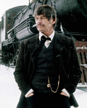 Picture of Charles Bronson in Breakheart Pass