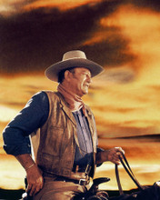 Picture of John Wayne in Chisum