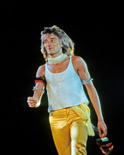 Picture of Rod Stewart