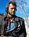 Picture of Clint Eastwood in The Outlaw Josey Wales