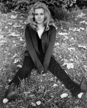 Picture of Ann-Margret in Carnal Knowledge