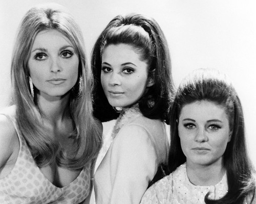 Picture of Valley of the Dolls