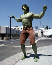 Picture of Lou Ferrigno in The Incredible Hulk