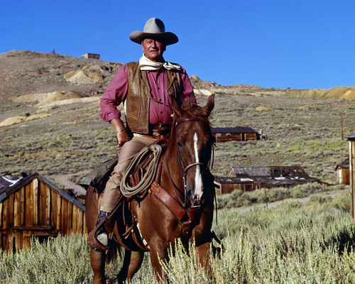 Picture of John Wayne in Chisum